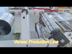 pet pla plastic sheet furniture veneer production line extruder single twin screw