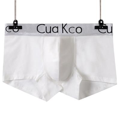 China Anti-Static Mens Underwear Boxer Shorts Polyester Mens Seamless Underwear for sale