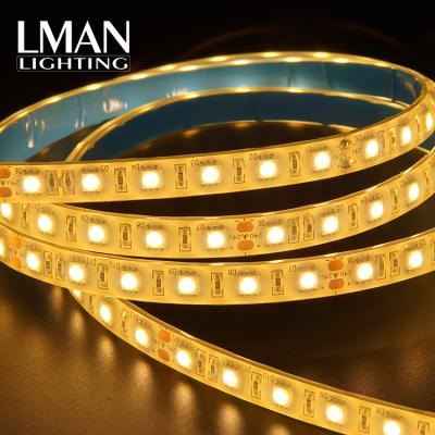 China 10meters No Voltage Drop Hot 10Meters No Voltage Drop 24Voltage 60LEDS/M 5050 Waterproof Outdoor 10W/m 10mm Width IP65 LED Strip Light for sale