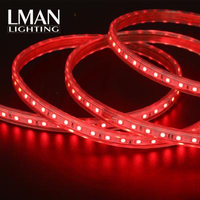 China Easy Installation High C.P. Decoration 10MM Width RGB 5050 SMD LED Commercial Waterproof Strip Light for sale