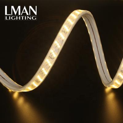 China Waterproof IP65 Led Strip Light AC 110v 127v 220v 260v Easy Installation High Power Silicone Tube Smd 2835 for sale