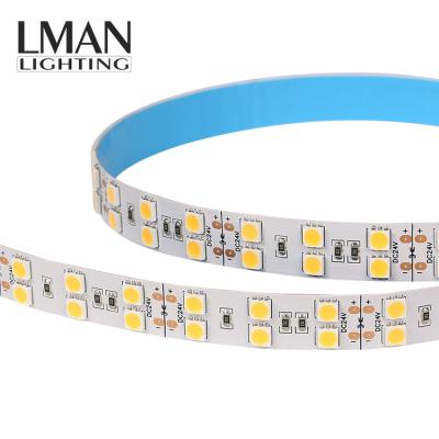 China Dc 12v 24v SMD 5050 Two Line Led Strip Easy Installation High Power IP20 120leds/m Accessible for sale