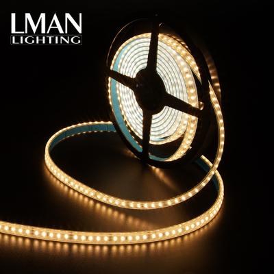 China China Supplier Good Quality Inter/External Stripes Design Inter Optic External Stripes Design 24V 120leds/m 2835 10W Led Strip Lights for sale