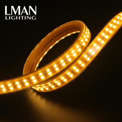 China Easy Installation High Precision Smd 2835 Chip 180leds/m Dual Line AC 110v 127v 220v 260v Led Light Strip for sale