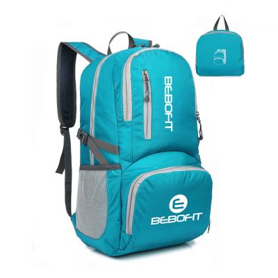 China DAY BACKPACK Waterproof Foldable 40L Travel Outdoor Sports Bag Rucksack With Custom Logo for sale