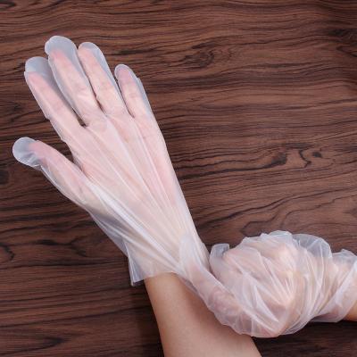 China Waterproof Disposable Biodegradable Gloves Eco Friendly PLA Gloves Compostable Glove for sale