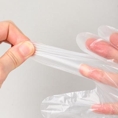 China Big Discount Waterproof Disposable PE Food Grade Gloves HDPE LDPE Plastic Gloves for sale