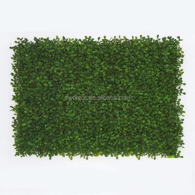 China Hot Sale Eco-friendly Evergreen Artificial Grass Plant Indoor Boxwood Plant Wall for sale