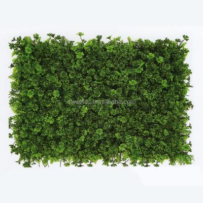 China High Quality Eco-friendly Artificial Evergreen Boxwood Plant Wall Indoor Artificial Grass Plant Wall For Sale for sale