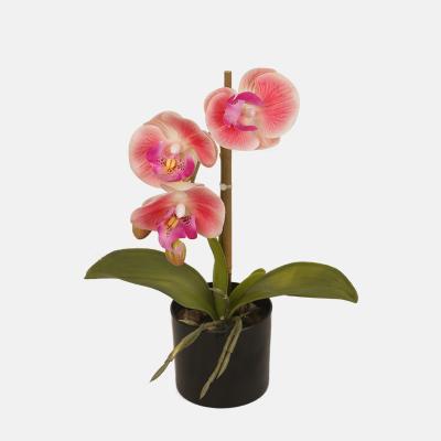 China Decoration 3 Flowers Head Small Real Touch Artificial Orchid With Pot For Table Decoration for sale