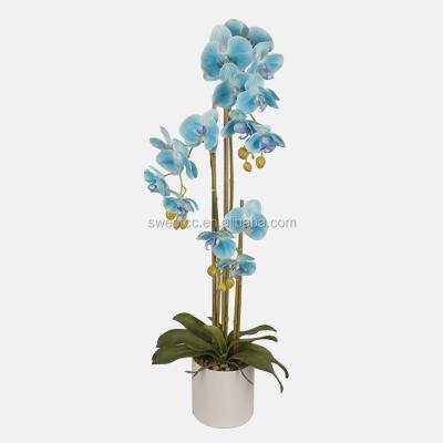 China Natural touch hot sale Vanda orchids flower artificial phalaenopsis orchid in pot for home decoration for sale