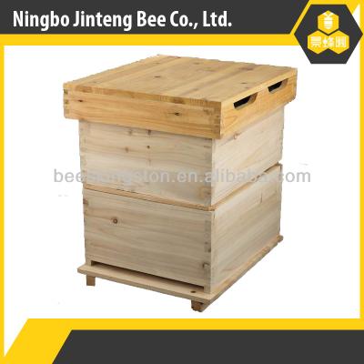 China Suitable for Russian pine langstroth hive from Janpan beekeeping for sale