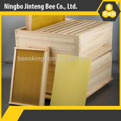 China Suitable for Janpan beekeeping high quality beekeeping equipment hive for sale