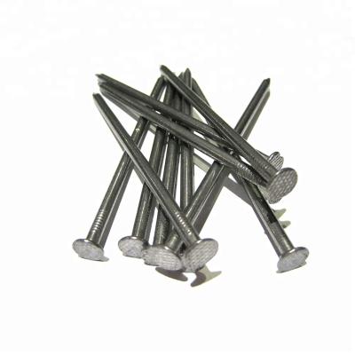 China Flat Nails Maker Supplies Iron Nails Hardware Custom Sizes Polished Common Nails Private Label for sale