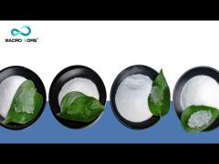 Sludge & Wastewater Solidification