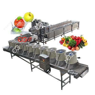 China Vegetable Washer Tomato Fruit Washing Machine High Efficiency Ozone Bubble Cleaning Machine Price for sale