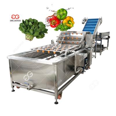 China Olive Leaf Vegetable Washing Machine High Efficiency Shepherd's Celery Parsley Purse Salad Washing Machine for sale