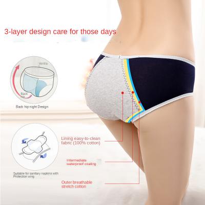 China Breathable Pastel Print Women's Menstrual Diapers 3 Leak Proof Lace Period Panties for sale