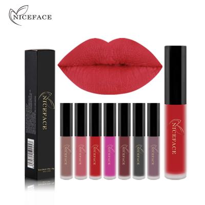 China New waterproof non-fading non stick cup waterproof and easy-to-color matte lip gloss for sale