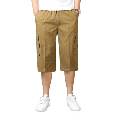 China Breathable Hot Product Men's Bermuda Shorts Cargo Shorts Pants Adults Casual 3/4 Classic And Fashion Shorts for sale