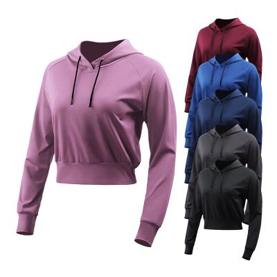 China Women's Breathable Crop Top Hoodies With Logo Spring And Autumn Fitness Sports Wearing Custom Made Shirts With Hood Plain Pullover Hoodie for sale