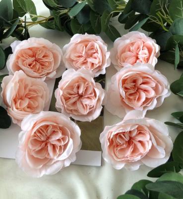 China Beautiful Colorful Blush Wholesale Artificial Austin Rose Flower Silk Cabbage Rose Heads Flower For Wedding Party Home Decoration for sale