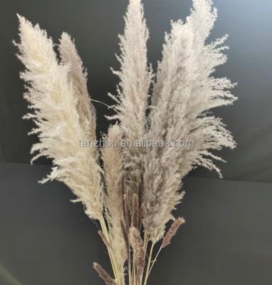 China Reed Flowers Extra Large Natural Dry Pampas Grass Artificial Flower Luxury Ball Bouquets For Home Table Decoration for sale