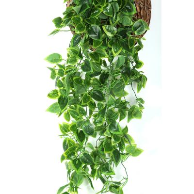 China Wall Hanging Eco-friendly Material High Quality Eco-friendly Customized Color Artificial Vine Ivy for sale