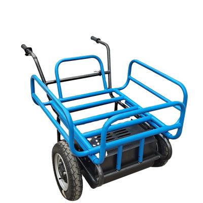 China Commercial Metal Crest Electric Wheelbarrow Price 200kg Two Wheels for sale