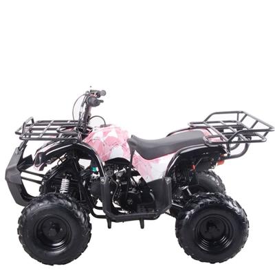 China 2021 QTP125CC ATV Metal Wheel ATV 125cc Hot Selling Automatic Adult Motorcycle for sale