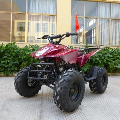 China 2020 NEW STEEL Cart 125cc 4 Wheel Quad Air Cooled Chain Drive ATV for sale