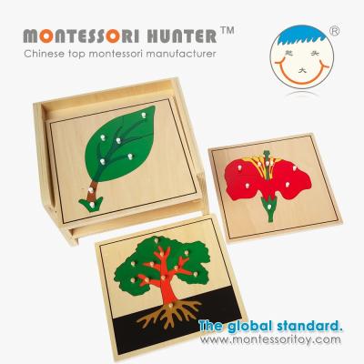 China Plywood Montessori Botany Puzzle for School Supplies for sale