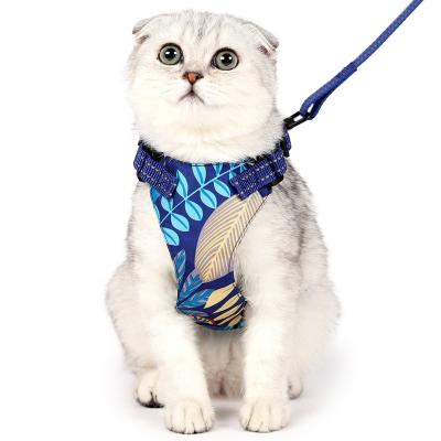 China New Viable Cat Pull Rope Pet Supplies Pet Harness Cat Trunk Harness Set Small and Medium Pets Cute Cat Rope Accessories for sale