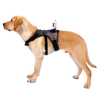 China Viable Pet Tactics Harness Pet Master Raising No Pull Climb Dog Collar Belt Sports Camera Outdoor Tactical Dog Harness With Camera for sale