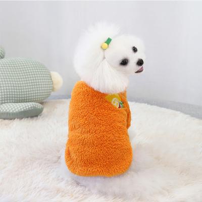 China 2022 Viable Hot Selling Cute Pet Clothes Small And Medium Hot Velvet Double-sided Fruit Dogs Biped Clothes for sale