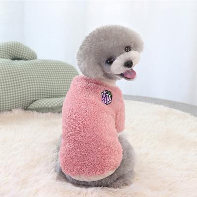 China Sustainable High Quality Cute Pet Clothes Small And Medium Warm Velvet Double-sided Fruit Dogs Biped Clothes for sale