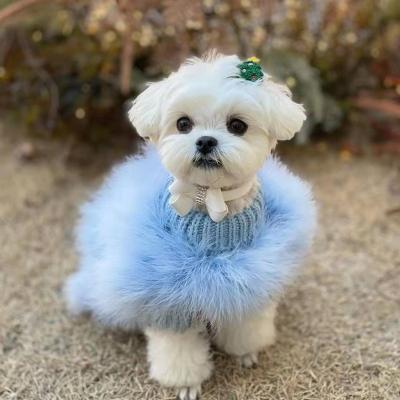 China 2022 Viable European and American Hot Selling Fashion Style Luxury Pet Clothes Cat Dog Core-Spun Sweater for sale