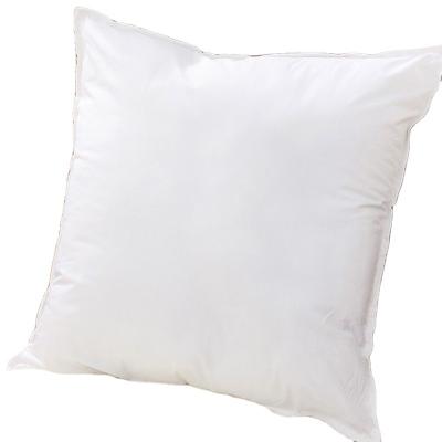 China Viable Custom Size Factory Price Polyester Pillow Insert For Hotel White Square Cushion Insert 45*45/18