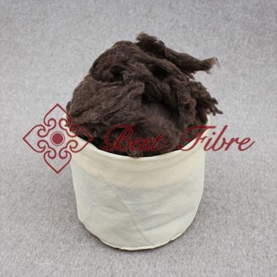 China Short dark brown yakwool/yak down for sale