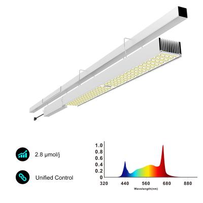 China HPS Replacement Commercial Greenhouse Lighting High Efficiency 3.5umol/J R95B5 Spectrum for sale