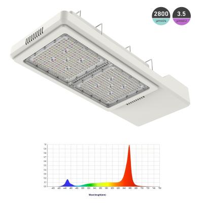 中国 1000W HPS 商業用ガーデニング LED照明温室 販売のため