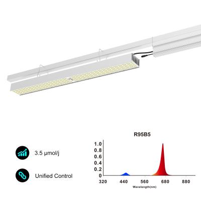 China Iluminación superior Luces de cultivo de invernaderos comerciales R95B5 Espectro Compacto Menos sombra en venta