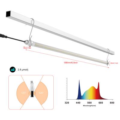 China Interlight Invernadero LED Crecer luz para los cultivos de alambre alto aumentar el rendimiento en venta