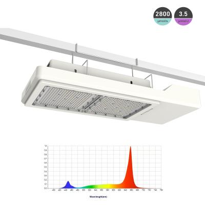 中国 コンパクト 800W LED 商業温室のためのガーデニング成長ライト 販売のため