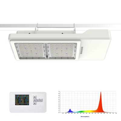 China IP66 800W LED-Gartengroßlicht mit kaltgeformtem Aluminium-Wärmeschlauch zu verkaufen