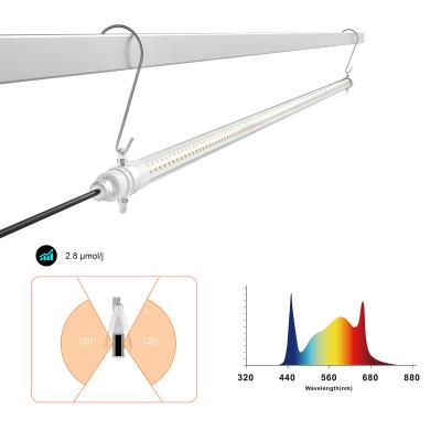 中国 食品 LED 栽培灯 高効率 3.0 Umol/J 成長ランプ 販売のため
