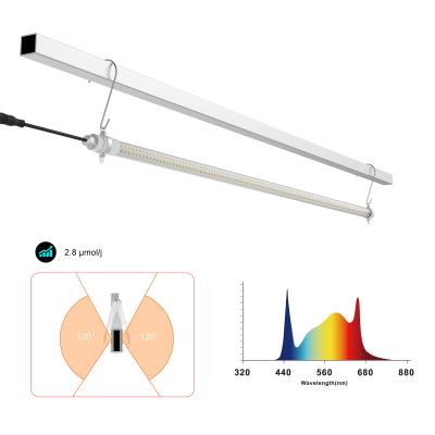 中国 食品 室内 LED 栽培 ライト T8 成長 ライト チューブ 販売のため