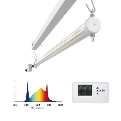 中国 リンク可能なt8成長ライト 4フィート 食品栽培のための赤青スペクトル 室内栽培 販売のため