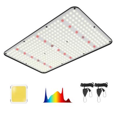 China Neue Veröffentlichung Vollspektrum-Quantenplatten-Pflanze mit LED-Wachstumslicht für Innenräume zu verkaufen