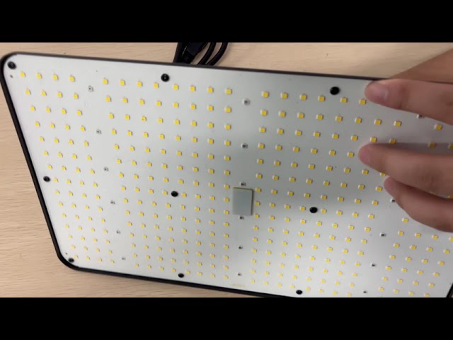 100W quantum board led grow light for 60x60cm grow tent